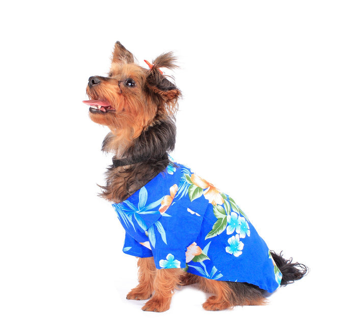 Dog Aloha Shirt in Hibiscus Blue