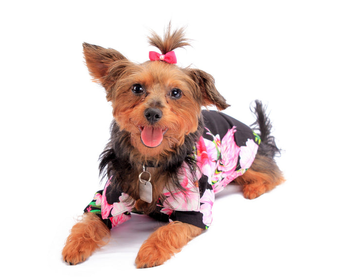 Dog Aloha Shirt in Pink Hibiscus Vine in Black