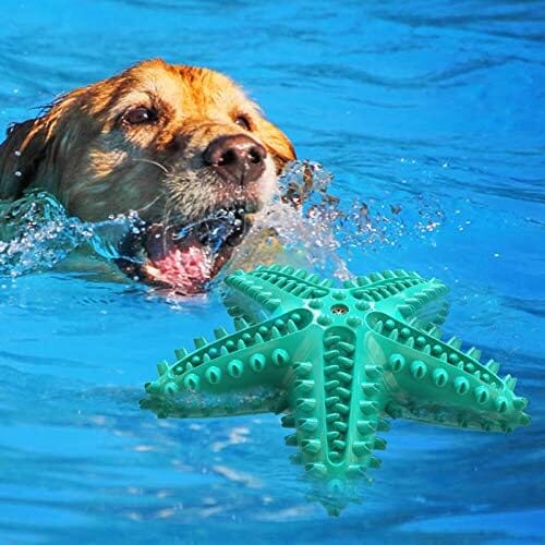 Durable Starfish Cleaning Toothbrush Toy Toothbrush Pet Clever