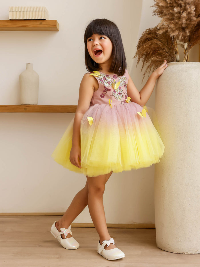 JANYAS CLOSET: Butterfly Breeze Ombre Shaded Net Dress