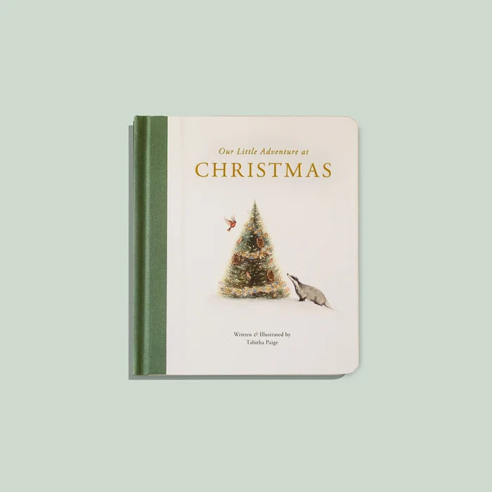 Our Little Adventure at Christmas, Paige Tate