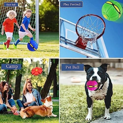 Pet Magic Ball Dog Toy Balls Interactive Herding Decompression Toys Pet Clever