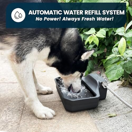 1 Gallon Dog Water Bowl for Outdoor Dog Bowls & Feeders Pet Clever