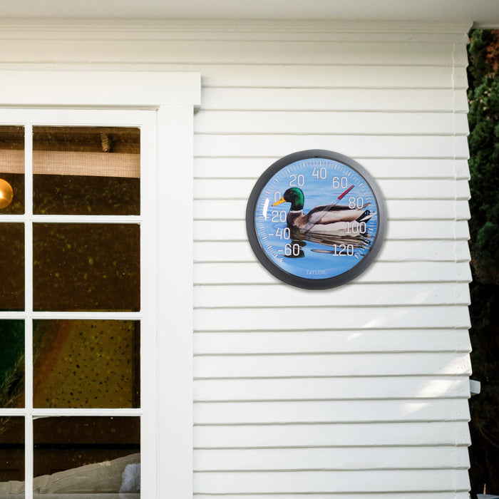 Outdoor view of 13.25 inch Mallard Duck Thermometer mounted on white siding near a window