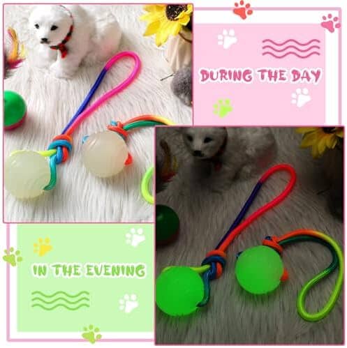 2 Pcs Dog Training Ball on Rope Glow in The Dark Ball Toys Pet Clever