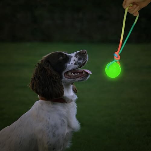 2 Pcs Dog Training Ball on Rope Glow in The Dark Ball Toys Pet Clever