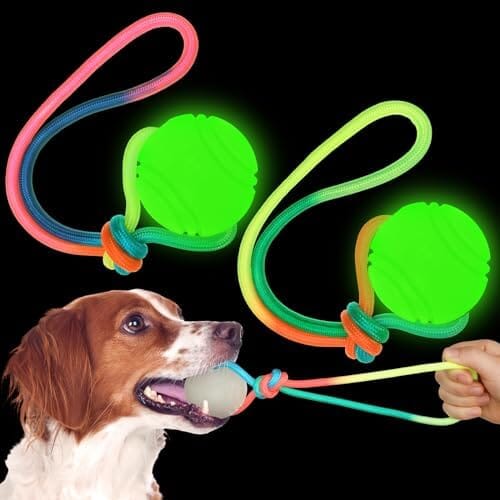 2 Pcs Dog Training Ball on Rope Glow in The Dark Ball Toys Pet Clever