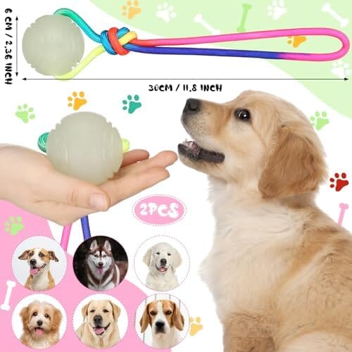 2 Pcs Dog Training Ball on Rope Glow in The Dark Ball Toys Pet Clever