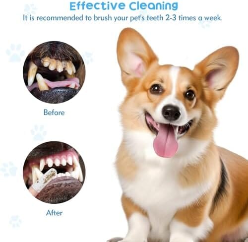 20Pcs Dog Toothbrush Soft Fabric Dog Finger Toothbrush Toothbrush Pet Clever