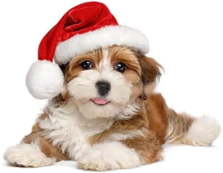 2Pcs Mini Dog Santa Hat for Dog Cat Clothing Pet Clever
