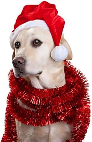 2Pcs Mini Dog Santa Hat for Dog Cat Clothing Pet Clever