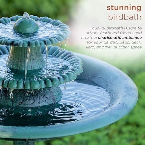3-Tiered Pedestal Water Fountain and Birdbath Fountain Pump Pet Clever