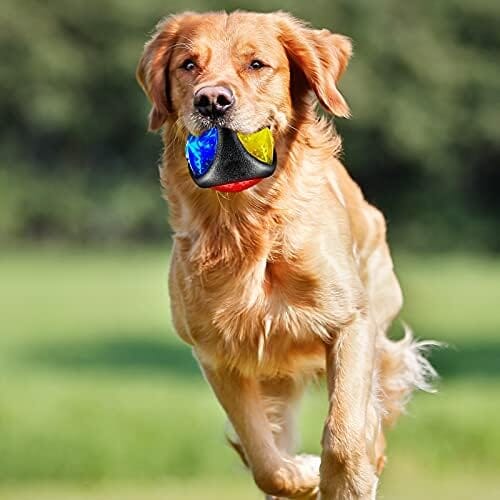 4 Pieces Light up Dog Ball Spiny Light up Dog Ball Toys Pet Clever
