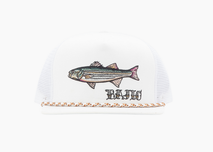 Striped Bass