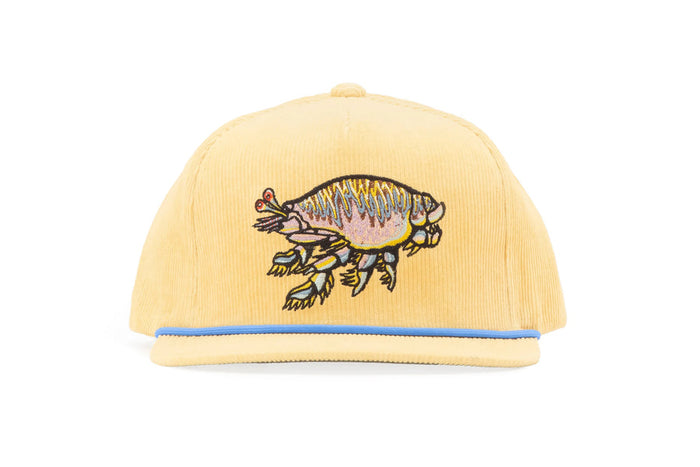 Sandflea