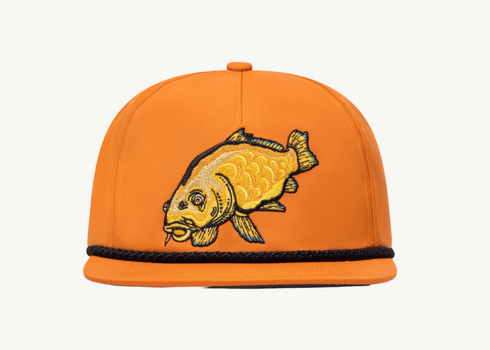 Carp