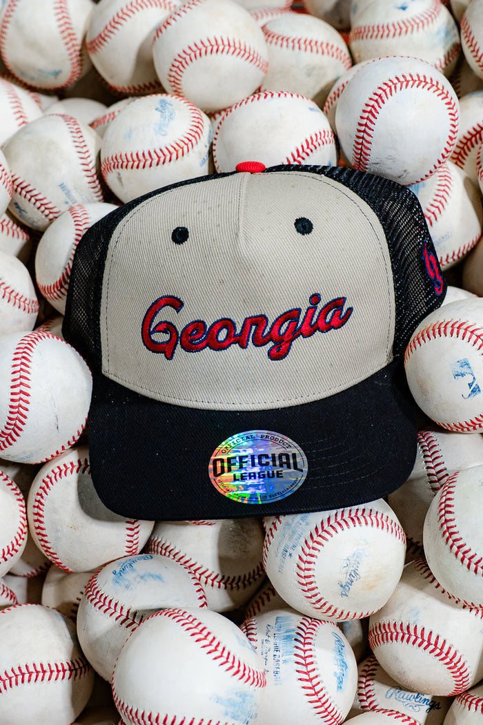 [ Brantley Gilbert x Gwinnett Stripers ] Georgia Driver - Official League
