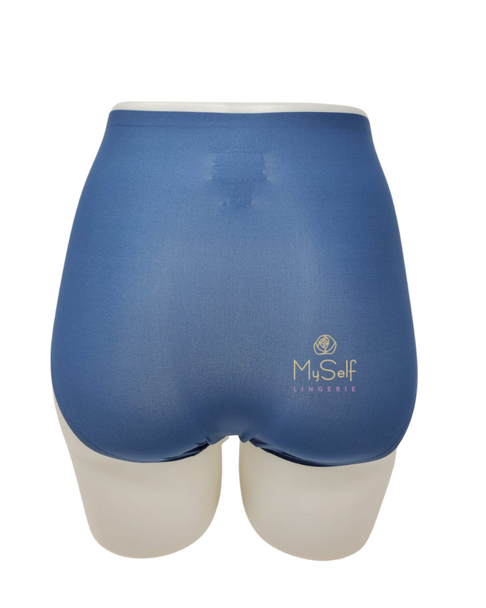 Chantelle 2647 Seamless One Size Fits All Full Brief MYSELFLINGERIE.COM