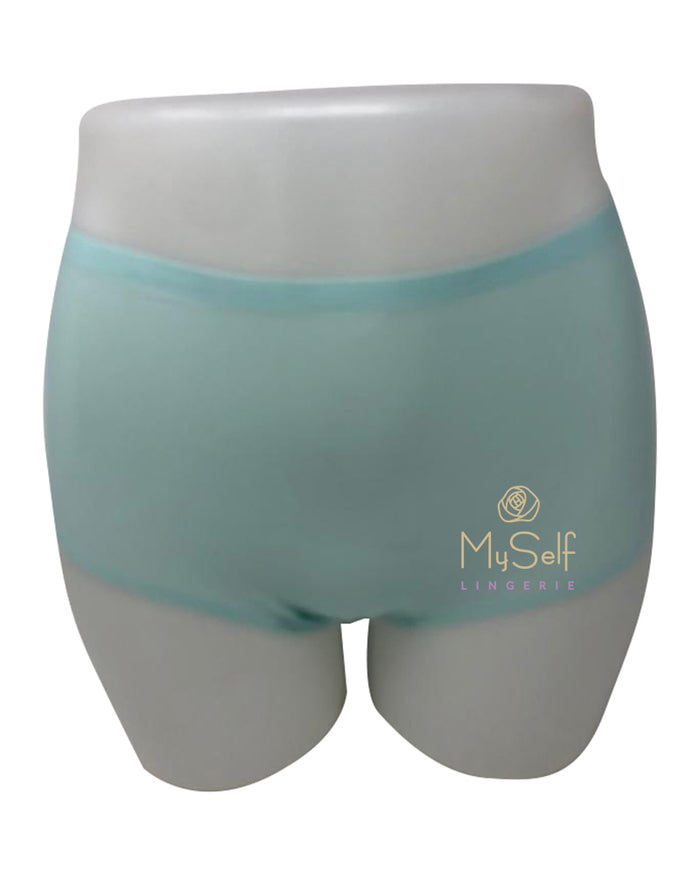 Chantelle 2647 Seamless One Size Fits All Full Brief MYSELFLINGERIE.COM