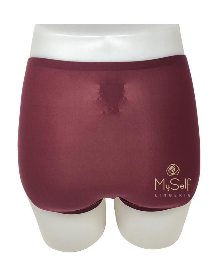 Chantelle 2647 Seamless One Size Fits All Full Brief MYSELFLINGERIE.COM