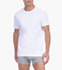 White New Logo Swatch