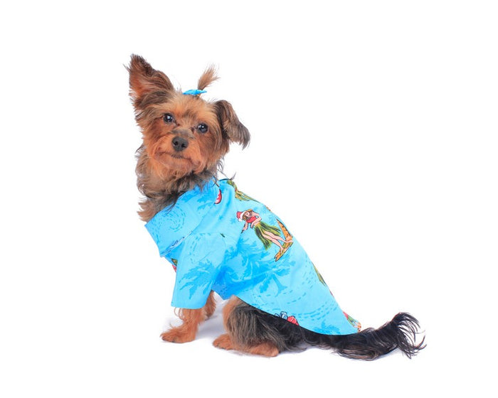 Dog Aloha Shirt in Christmas Santa Turquoise