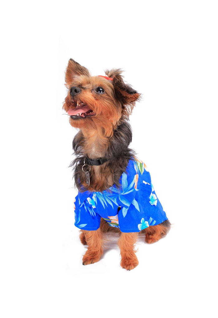 Dog Aloha Shirt in Hibiscus Blue