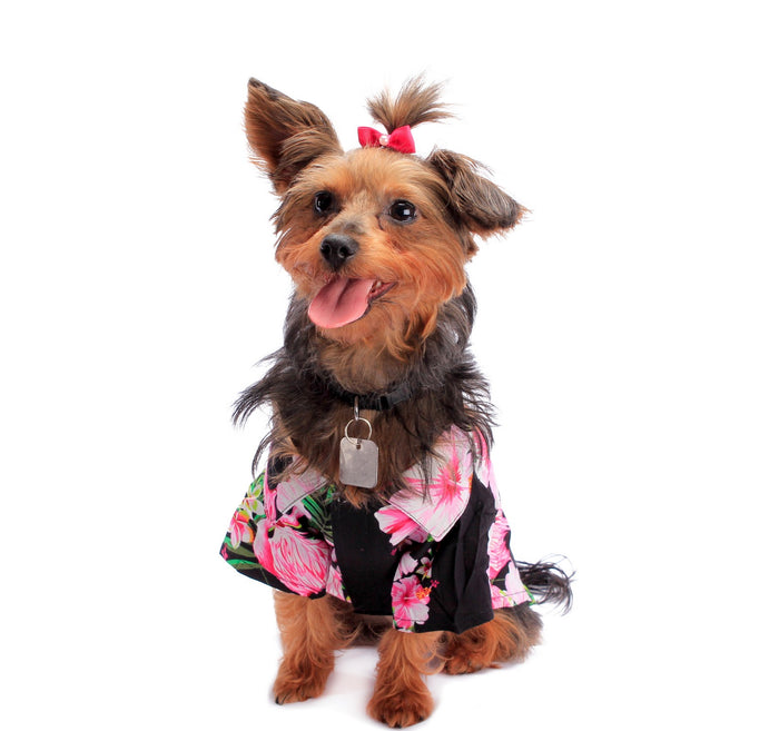 Dog Aloha Shirt in Pink Hibiscus Vine in Black