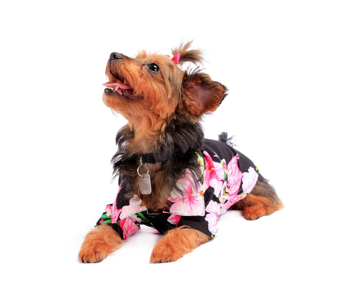 Dog Aloha Shirt in Pink Hibiscus Vine in Black