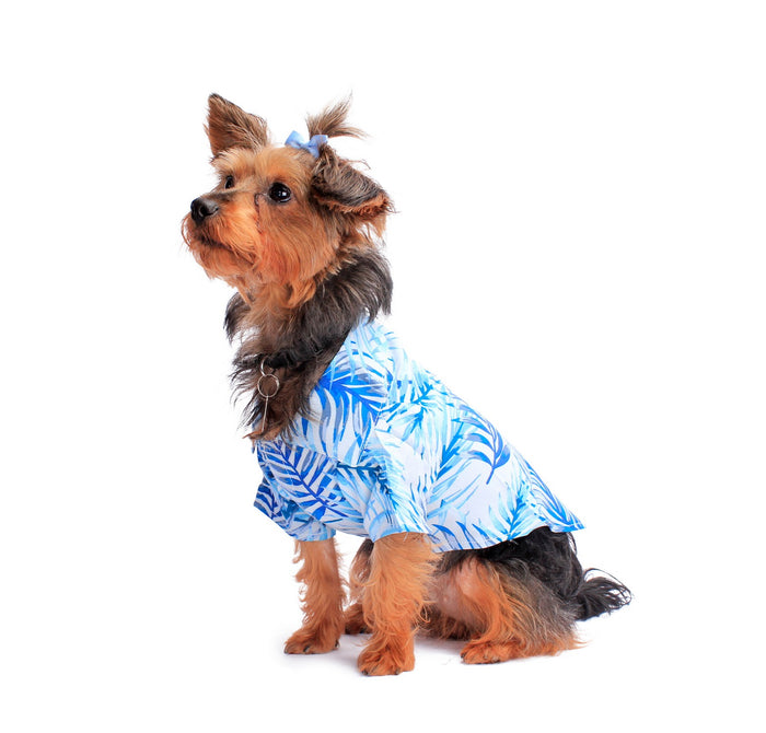 Dog Aloha Shirt in Simply Blue Leaf