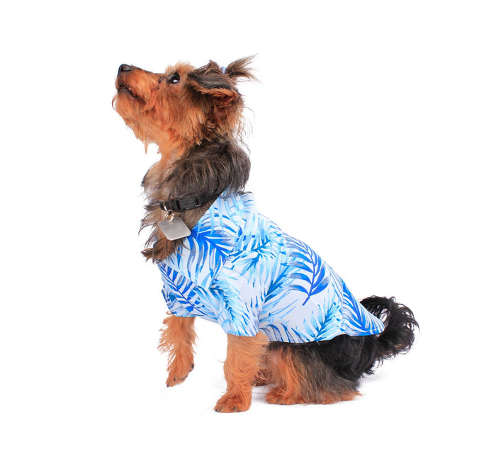 Dog Aloha Shirt in Simply Blue Leaf