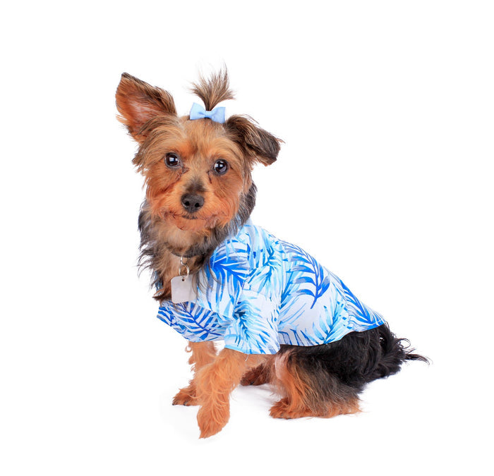 Dog Aloha Shirt in Simply Blue Leaf