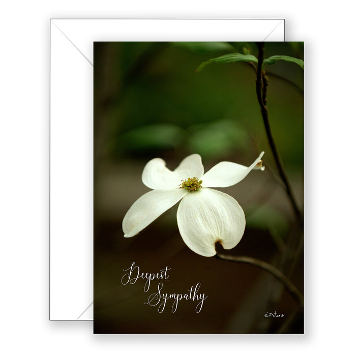 Dogwood (Philippians 4:7) - Sympathy Card