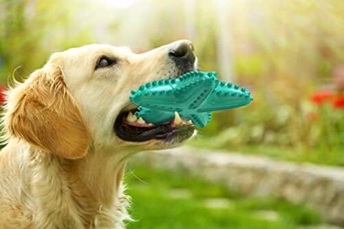 Durable Starfish Cleaning Toothbrush Toy Toothbrush Pet Clever