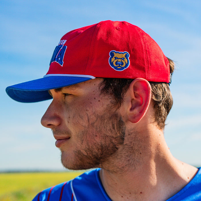[ Fall Out Boy X Iowa Cubs ] Heaven Iowa Poppy Hat