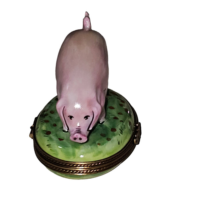 Charming Pig Figurine Box Porcelain Limoges farm animals French Trinket Box