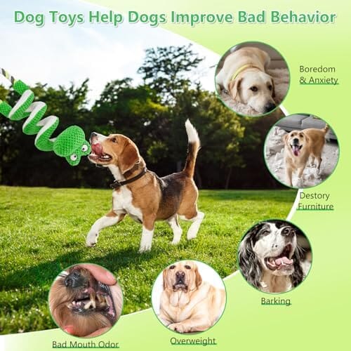 Frog Interactive Squeaky Dog Toys with Pull Rope Toys Pet Clever
