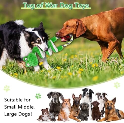 Frog Interactive Squeaky Dog Toys with Pull Rope Toys Pet Clever