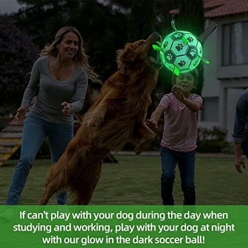 Glow in The Dark Dog Toys Soccer Ball with Straps Toys Pet Clever