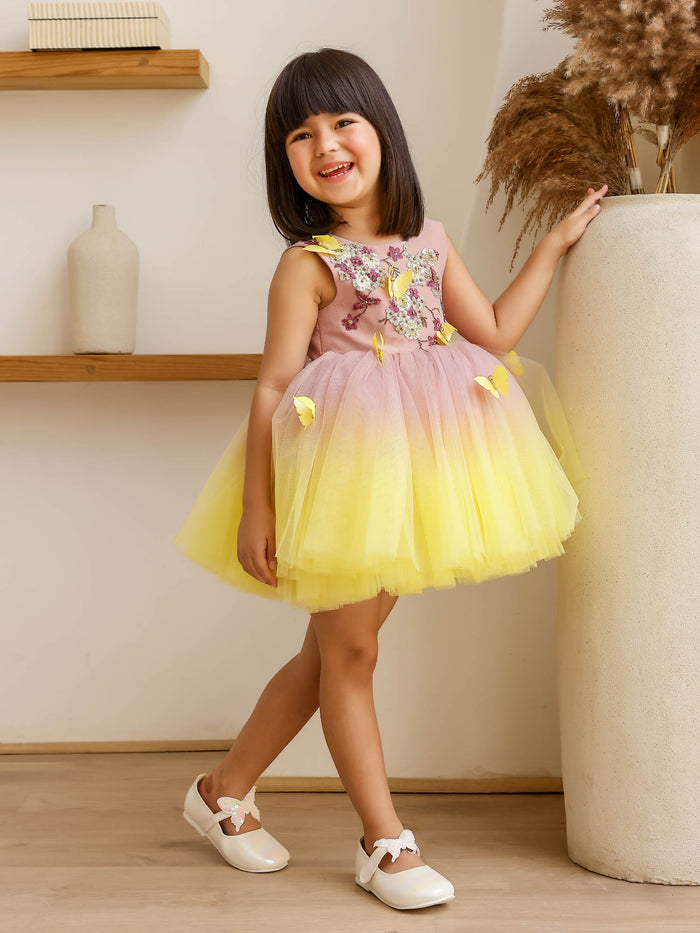 JANYAS CLOSET: Butterfly Breeze Ombre Shaded Net Dress