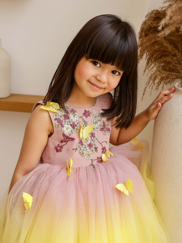 JANYAS CLOSET: Butterfly Breeze Ombre Shaded Net Dress
