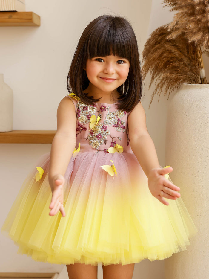 JANYAS CLOSET: Butterfly Breeze Ombre Shaded Net Dress