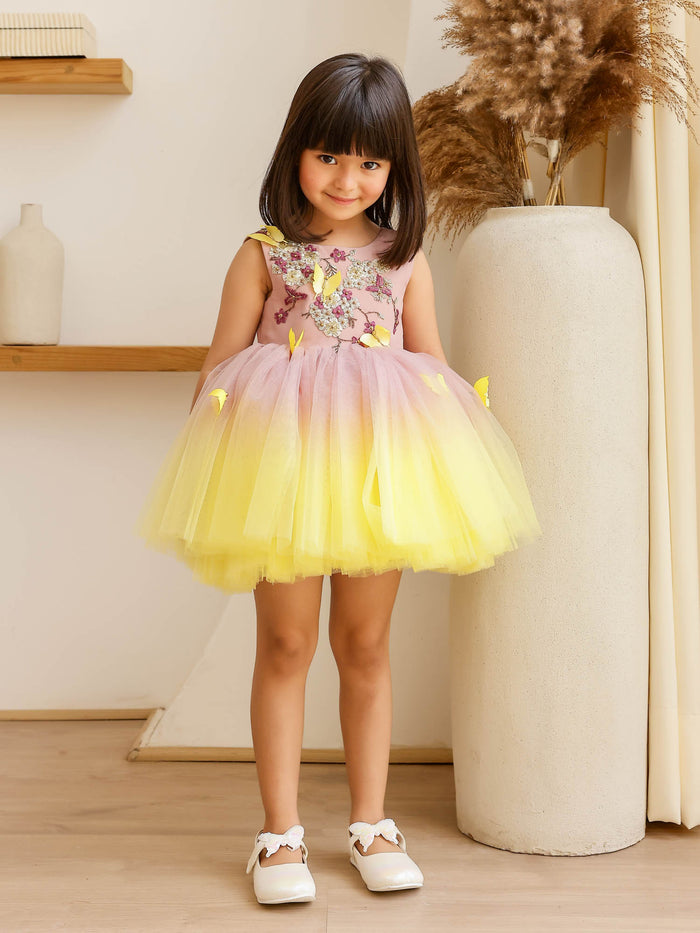 JANYAS CLOSET: Butterfly Breeze Ombre Shaded Net Dress