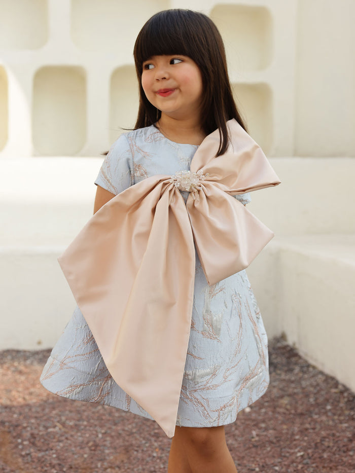 JANYAS CLSOET Cinderellas Blue Jacquard Bow Dress