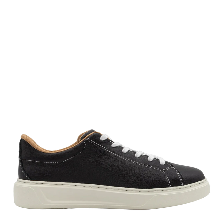Navy blue and gray sneaker on a white background