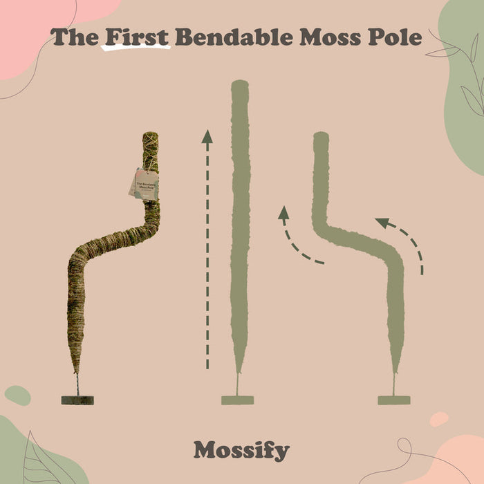 Mossify The Original Bendable Moss Pole™
