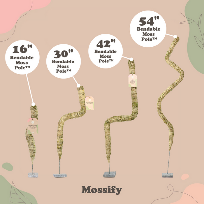 Mossify The Original Bendable Moss Pole™