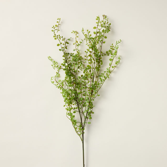 Faux Mühlenbeckia branch with a lifelike, subtle texture and vibrant green color.