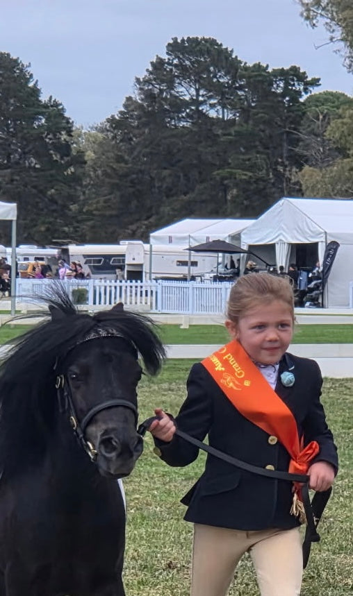 Navy Open or Dressage Jacket With Pale Blue Trim Childs (044)