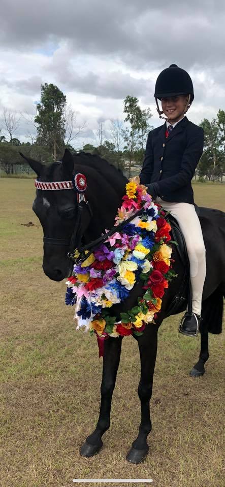Navy Plain Open Or Dressage Jackets With No Trims Childrens (105)